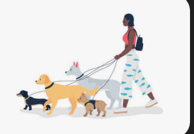 1hr Pet Sitting (Medium Size animals)